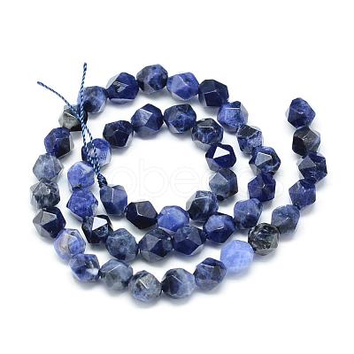 Natural Sodalite Beads Strands G-S149-21-6mm-1