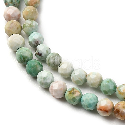 Natural Peruvian Turquoise(Jasper) Beads Strands G-A276-C13-3mm-1