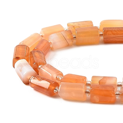 1 Strand Natural Orange Botswana Agate Beads Strands G-YW0002-44-1