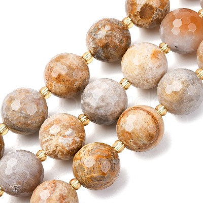 Natural Fossil Coral Beads Strands G-C249-A27-16MM-1