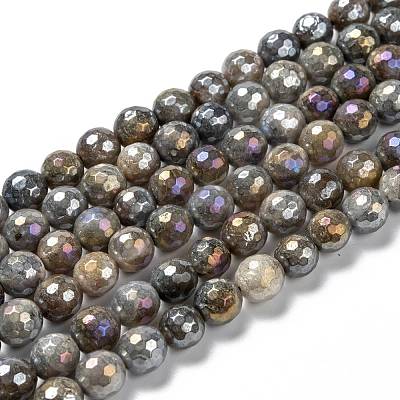 Natural Labradorite Beads Strands G-G723-01C-1