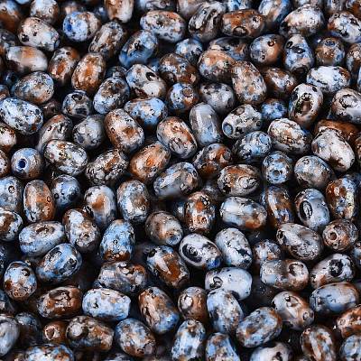 Picasso Glass Seed Beads SEED-N012-10N-1