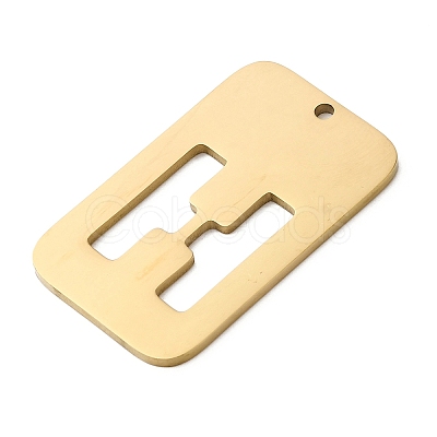 304 Stainless Steel Pendants STAS-D200-01H-G-1