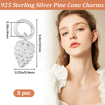 5Pcs 925 Sterling Silver Charms STER-BBC0002-23-1