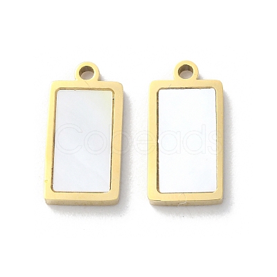 Ion Plating(IP) 304 Stainless Steel Charms STAS-Z099-02G-03-1