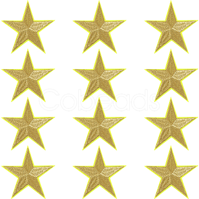 12Pcs Star Shape Cloth Embroidery Applqiues PATC-GF0001-33B-1