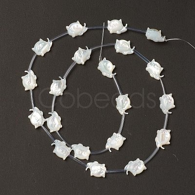 Natural White Shell Mother of Pearl Shell Beads BSHE-B005-11-1