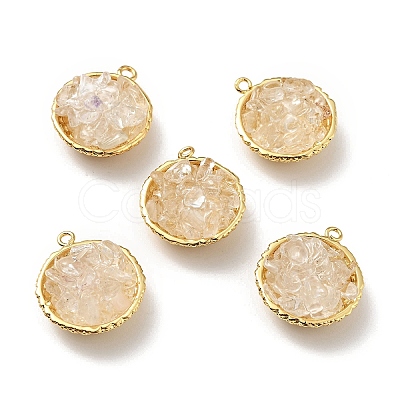 Natural Quartz Crystal Chip Pendants KK-C242-05G-17-1