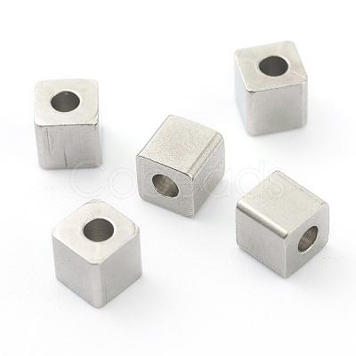 Non-Tarnish 304 Stainless Steel Beads STAS-H160-01C-P-1