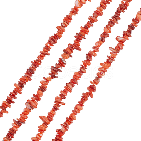 Natural Freshwater Shell Beads Strands BSHE-WH0006-05C-1