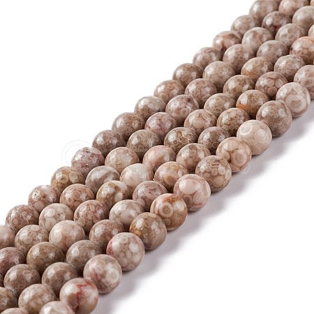 Natural Maifanite/Maifan Stone Beads Strands G-P451-01B-B-1