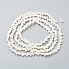 Natural Spiral Shell Beads Strands BSHE-I011-11C-2