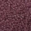 TOHO 11/0 Round Beads X-SEED-TR11-0006F-1