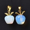 Opalite Pendants G-C023-06G-2