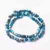 Natural Apatite Beads Strands G-F506-12-2