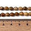 Natural Picture Jasper Beads Strands G-K376-F10-01-5
