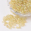 Transparent Rainbow Colours Round Glass Seed Beads X-SEED-A007-4mm-162-1