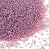 MIYUKI Round Rocailles Beads X-SEED-G009-RR2373-1