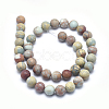 Natural Aqua Terra Jasper Beads Strands G-N0128-48F-10mm-2
