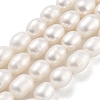 Natural Cultured Freshwater Pearl Beads Strands PEAR-P062-10J-2