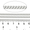 Spray Painted 304 Stainless Steel Curb Chains STAS-B067-05A-09-2