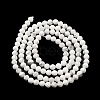 Natural Howlite Beads Strands G-E608-A01-B-3