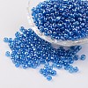 Round 6/0 Glass Seed Beads X-SEED-A006-4mm-106-1