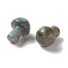 Natural Labradorite GuaSha Stone G-A205-26B-3