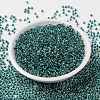 MIYUKI Round Rocailles Beads X-SEED-G008-RR3205-4