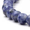 Natural Brazil Blue Spot Jasper Beads Strands G-S259-36-8mm-3