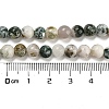 Natural Tree Agate Round Gemstone Beads Strands G-R255-6mm-4
