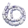 Natural Purple Turquoise Beads Strands G-K245-I09-A01-2