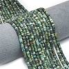 Natural African Turquoise(Jasper) Beads Strands G-P575-B20-4x2mm-1