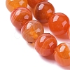 Natural Striped Agate/Banded Agate Beads Strands G-G582-10mm-62-3