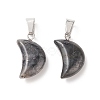 Natural Larvikite Pendants G-Q369-16-2
