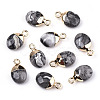 Natural Map Stone/Picasso Stone/Picasso Jasper Charms G-N326-58B-1