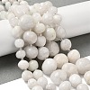 Natural White Moonstone Beads Strands G-Q169-E08-01-1