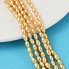 Electroplated Shell Pearl Beads Strands BSHE-Z009-10B-01-1