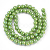 Electroplate Opaque Glass Beads Strands GLAA-T032-P10mm-AB06-3