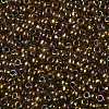 TOHO 8/0 Round Beads X-SEED-TR08-0459-2