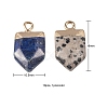 10Pcs 10 Style Natural Gemstone Pointed Pendants G-LS0002-04-4