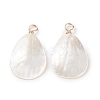 Natural Trochid Shell/Trochus Shell Pendants X-PALLOY-JF01393-1