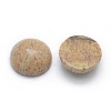 Natural Picture Jasper Cabochons G-P393-R51-6MM-2