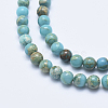 Natural Aqua Terra Jasper Beads Strands G-E444-14A-6mm-3