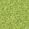 MIYUKI Round Rocailles Beads X-SEED-G007-RR0172-3