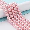 Shell Pearl Bead Strands X-BSHE-L025-06-8mm-5