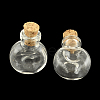 Flat Round Glass Bottle for Bead Containers AJEW-R045-06-2