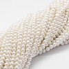 Shell Pearl Bead Strands BSHE-L025-01-4mm-1