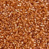 MIYUKI Delica Beads SEED-J020-DB1702-3