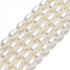 Natural Cultured Freshwater Pearl Beads Strands PEAR-J006-10B-01-1